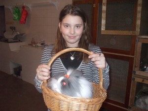 Obrázok